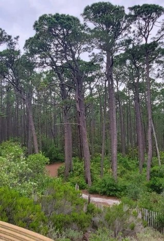 Audubon Bird Sanctuary - Go Wandering