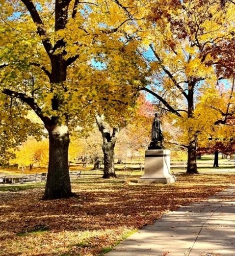 Bushnell Park