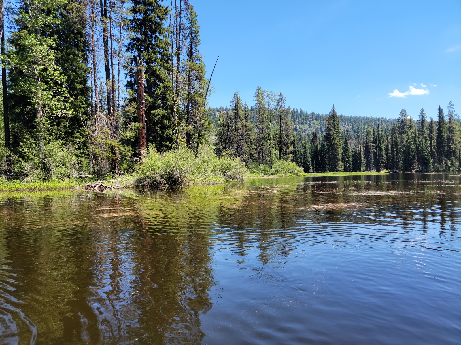 Ponderosa State Park - Go Wandering