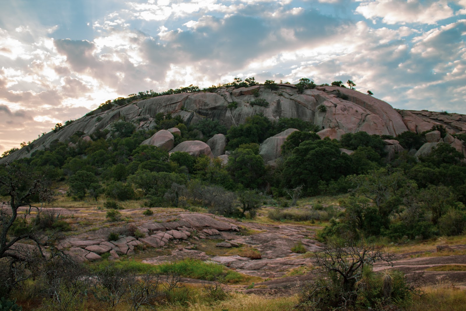 are dogs allowed at enchanted rock