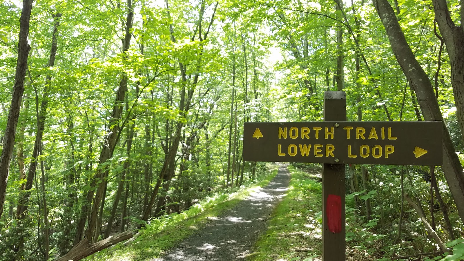 Big Pocono State Park - Go Wandering