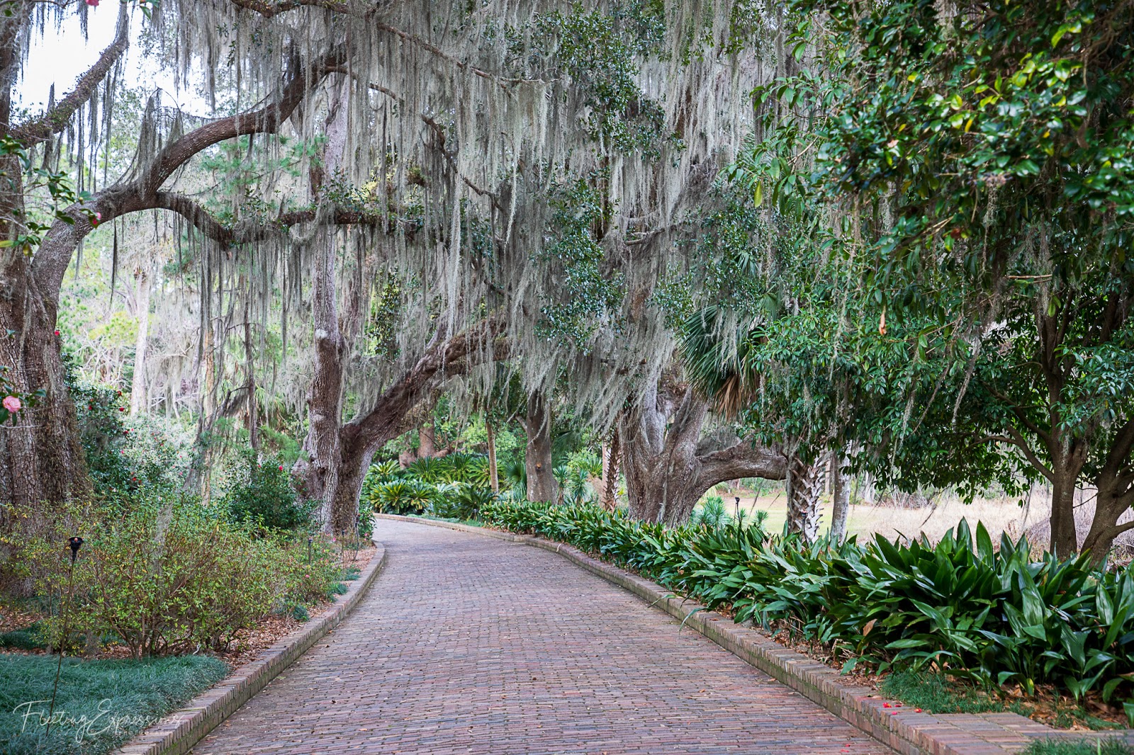 Alfred B. Maclay Gardens State Park - Go Wandering