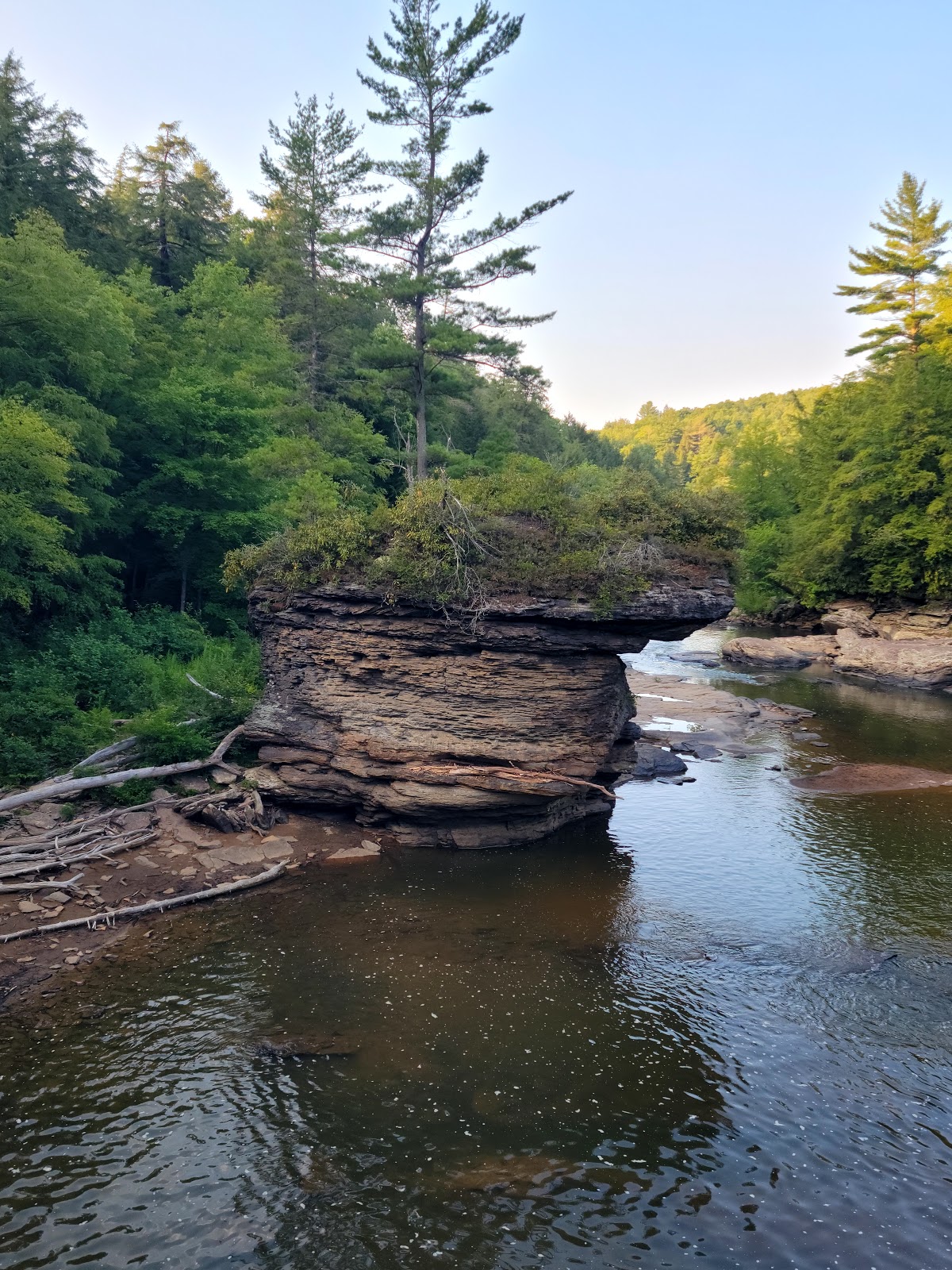 are dogs allowed at swallow falls