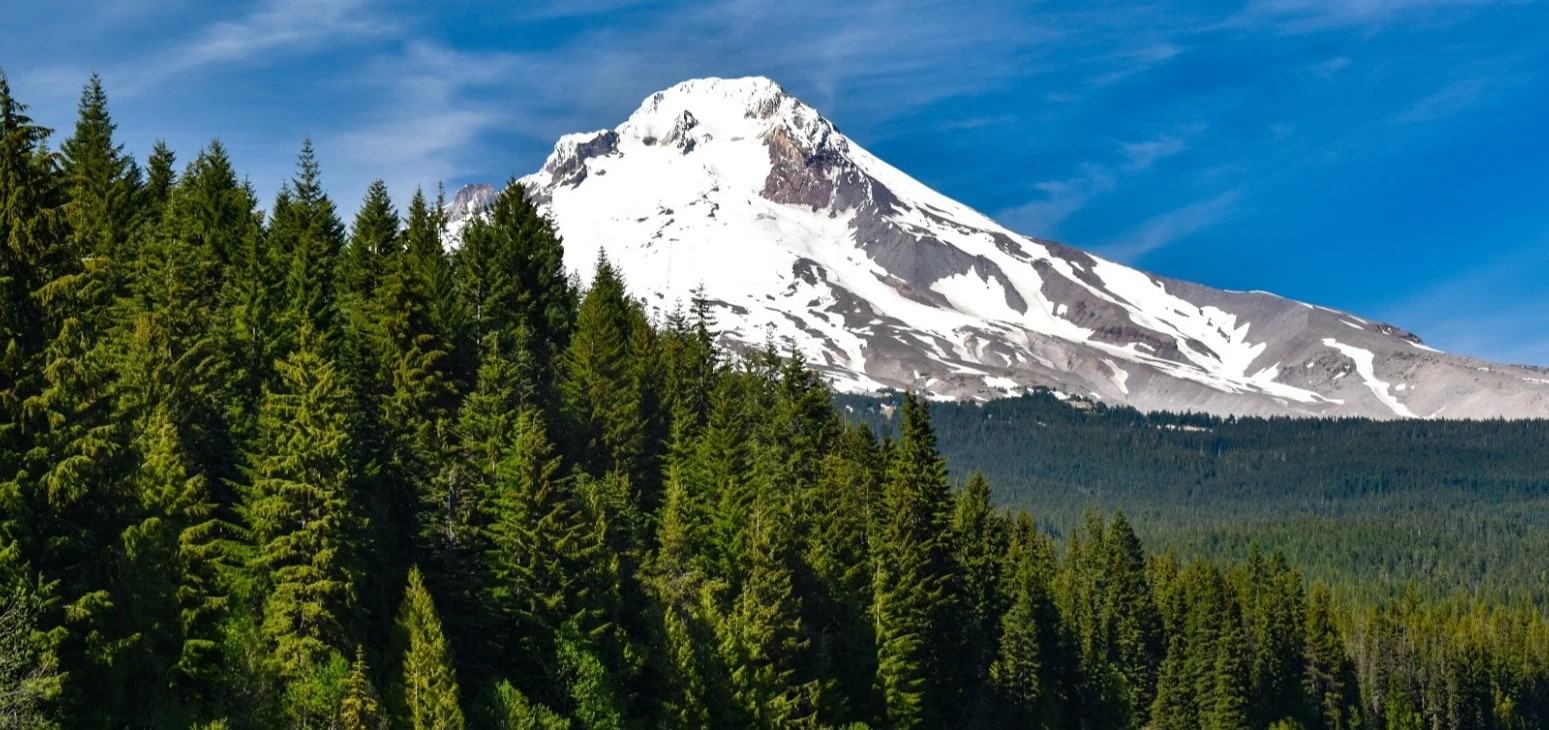 Mt. Hood National Forest - Go Wandering