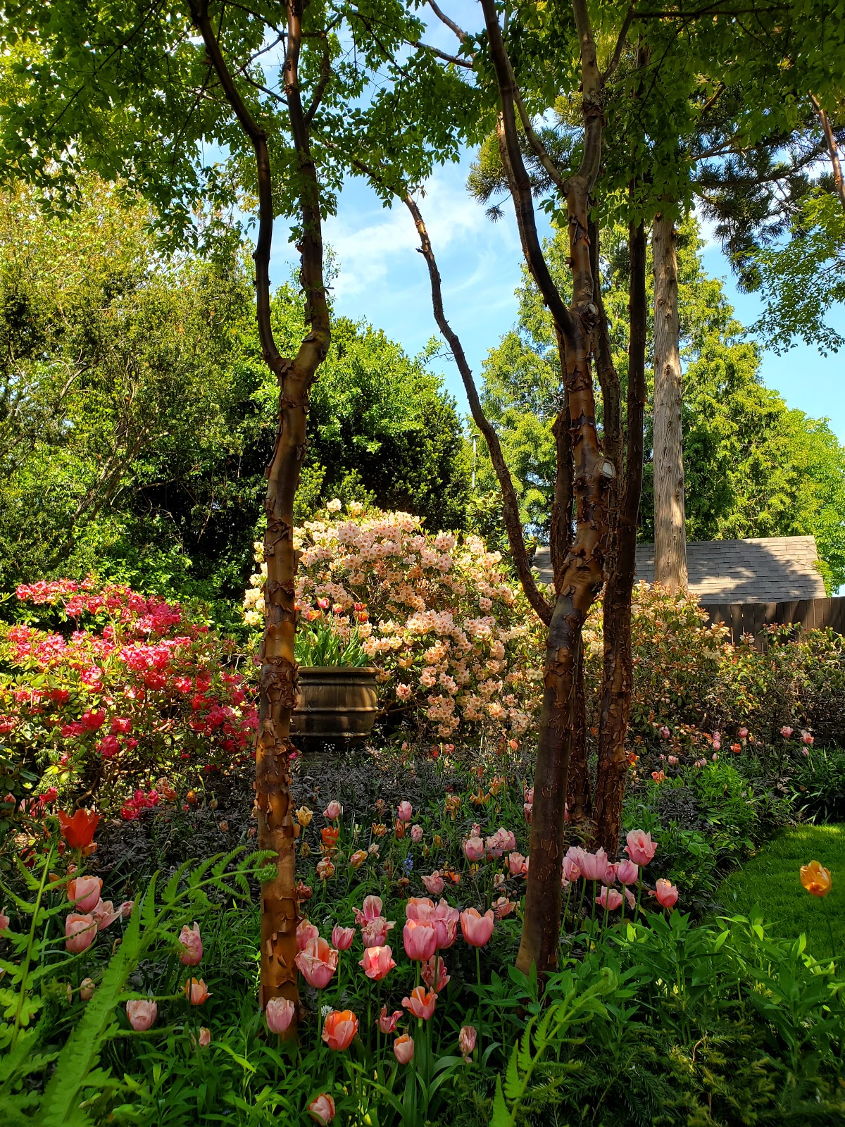 Sakonnet Garden - Go Wandering